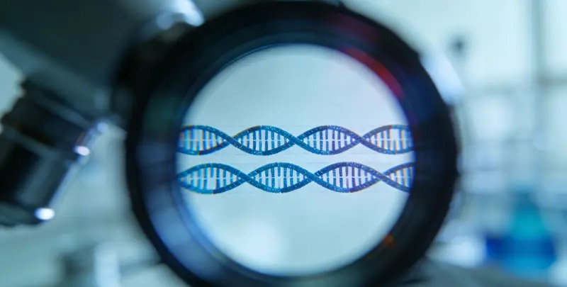 司法亲子鉴定2人图3